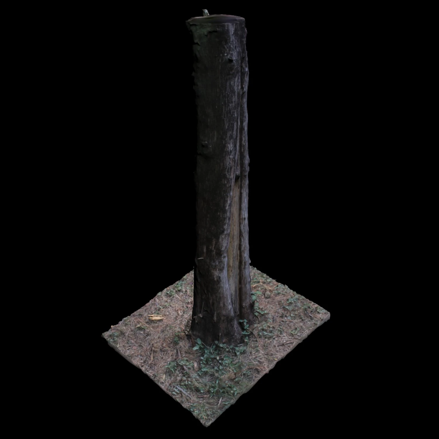 tree 3D Model .c4d .max .obj .3ds .fbx .stl .blend 
