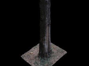 tree Modelo 3D