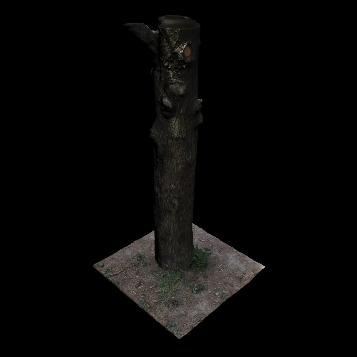 पेड़ 3D मॉडल .c4d .max .obj .3ds .fbx .stl .blend 