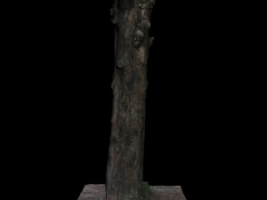 tree Model 3D