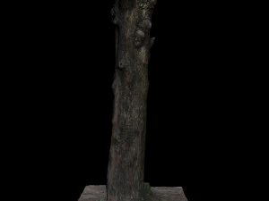 पेड़ 3D मॉडल