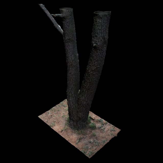 tree Modelo 3D .c4d .max .obj .3ds .fbx .stl .blend 