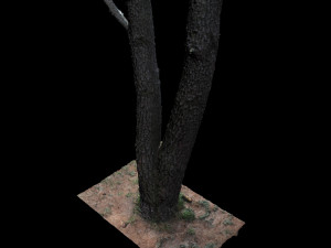tree Modelo 3D