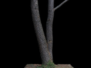 tree Modelo 3D