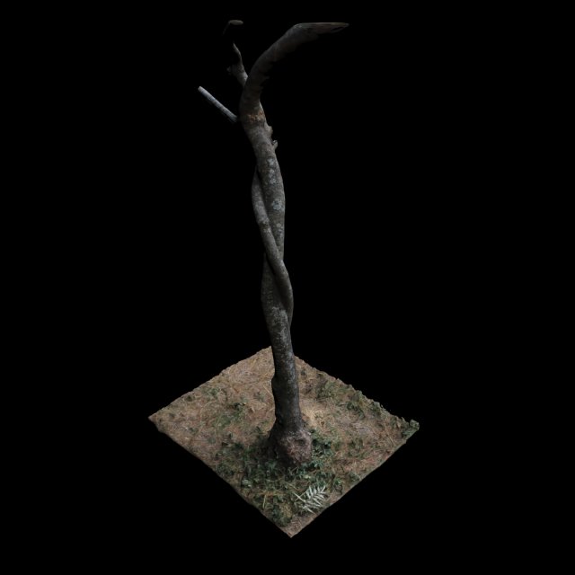 tree 3D Model .c4d .max .obj .3ds .fbx .stl .blend 