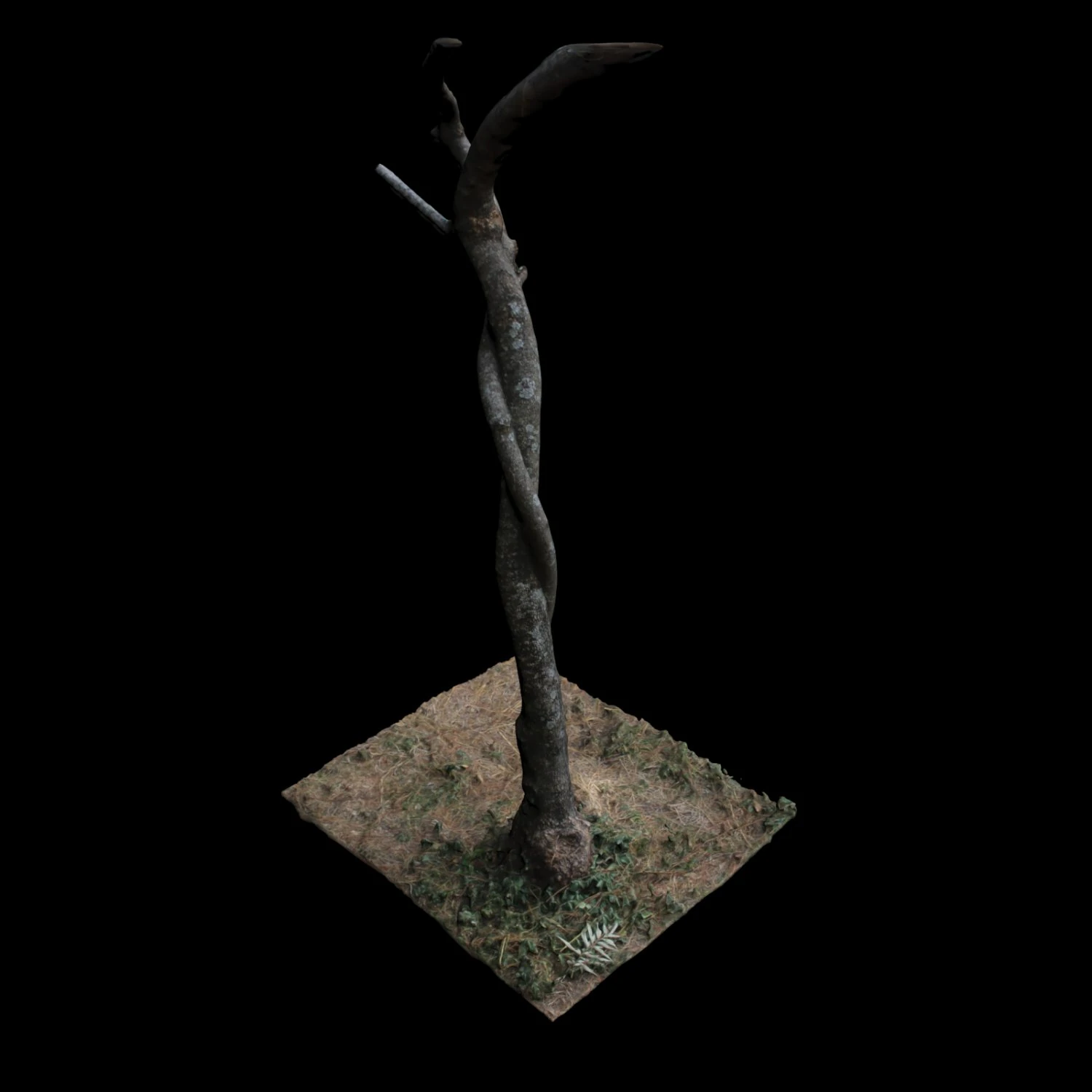 tree 3D Model .c4d .max .obj .3ds .fbx .stl .blend 