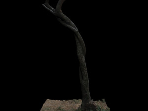 tree 3D Model