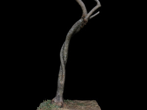 tree 3D Model