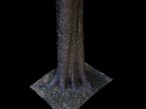 tree Modelo 3D
