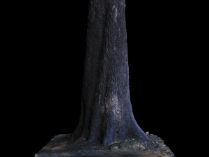 tree 3D मॉडल