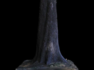 tree 3D Model