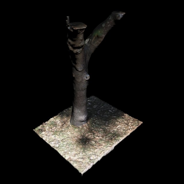 tree 3D Модель .c4d .max .obj .3ds .fbx .stl .blend 