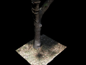 tree Modelo 3D
