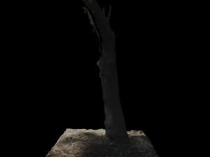 tree 3D Model