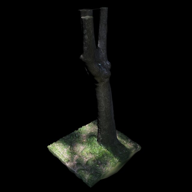 tree 3Dモデル .c4d .max .obj .3ds .fbx .stl .blend 