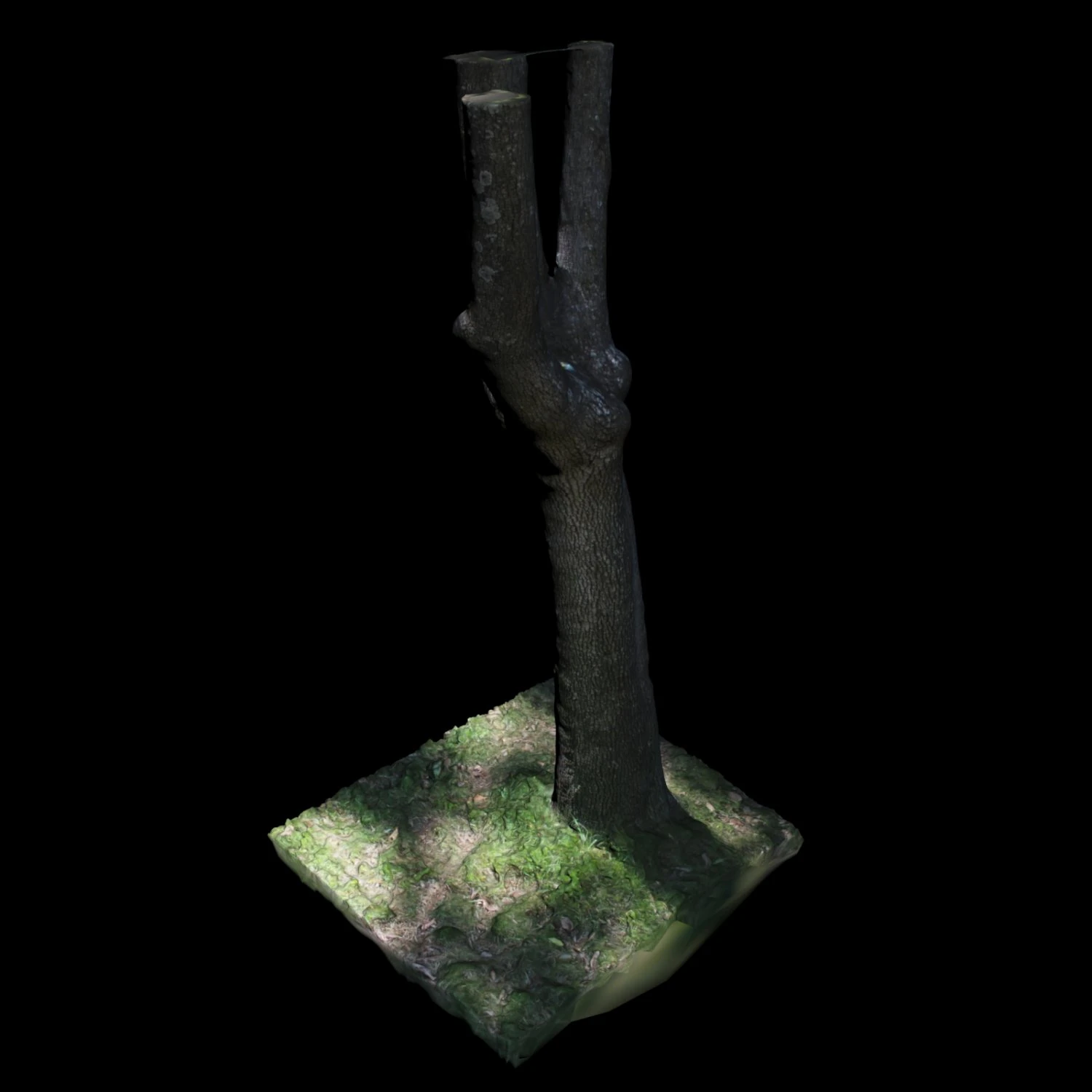 tree 3D Model .c4d .max .obj .3ds .fbx .stl .blend 