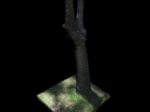 tree Modelo 3D