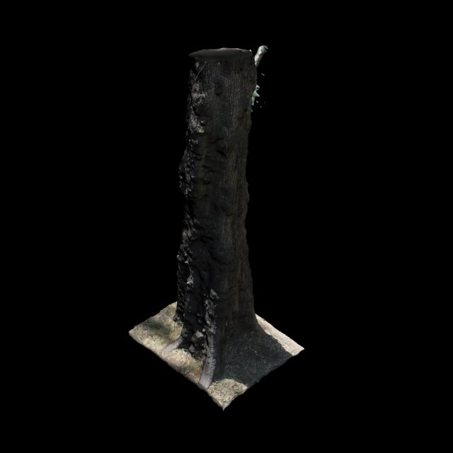 tree 3D-Modell .c4d .max .obj .3ds .fbx .stl .blend 