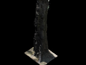 tree Modelo 3D