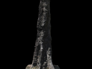 tree 3D-Modell