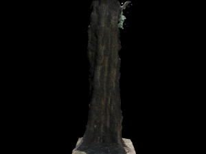 tree 3D-Modell