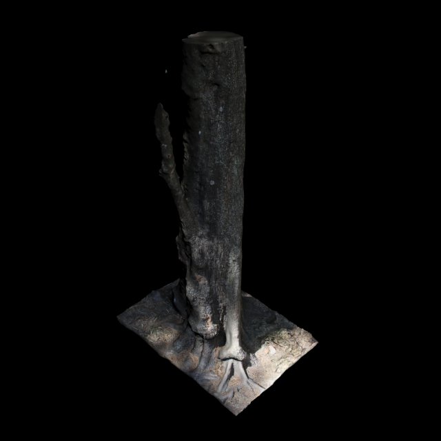 tree Modelo 3D .c4d .max .obj .3ds .fbx .stl .blend 