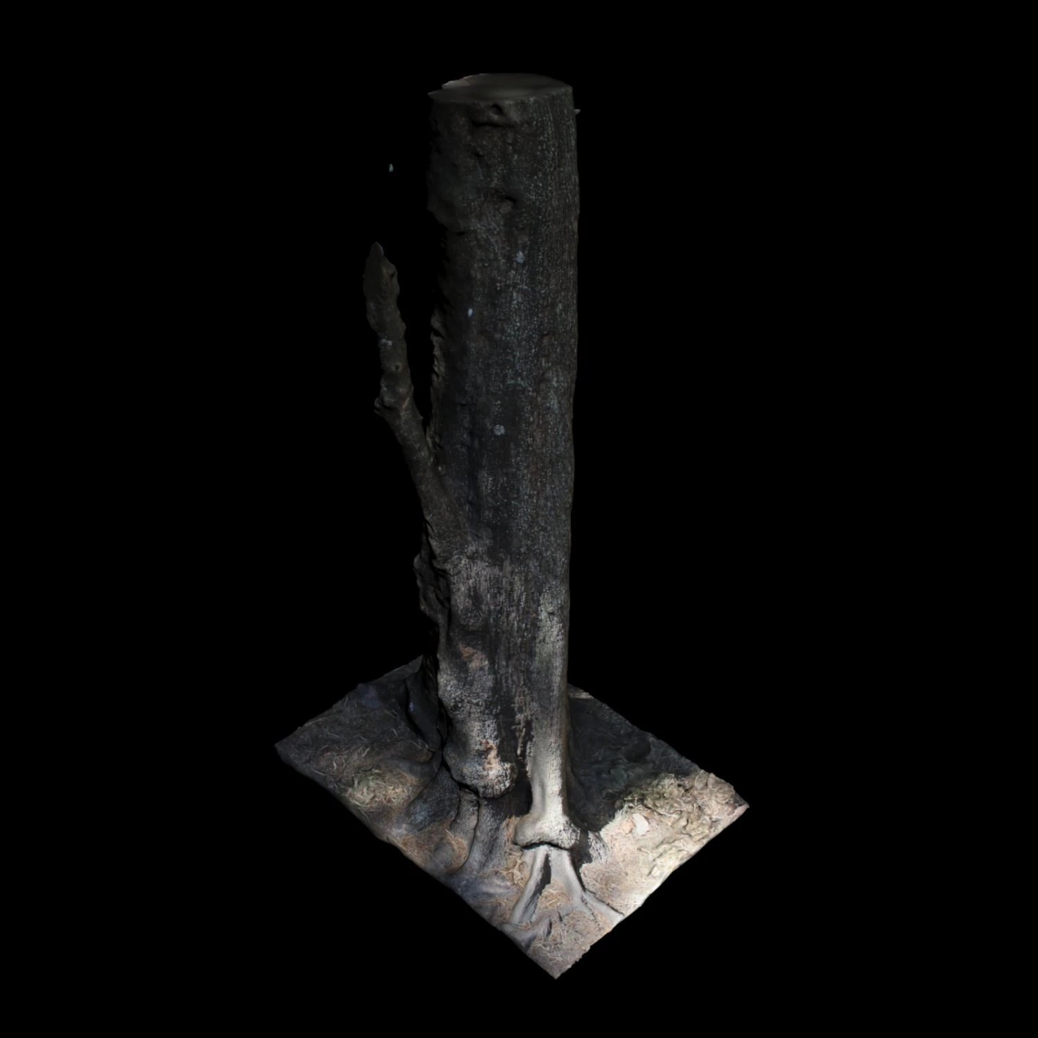 tree 3D Model .c4d .max .obj .3ds .fbx .stl .blend 