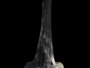 tree Modelo 3D