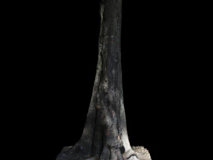tree 3D Model