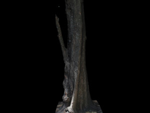 tree Modelo 3D