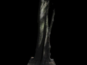 tree 3D Model