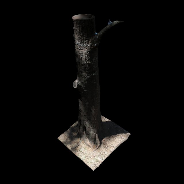 tree Modelo 3D .c4d .max .obj .3ds .fbx .stl .blend 