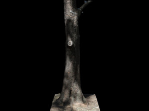 tree Modelo 3D