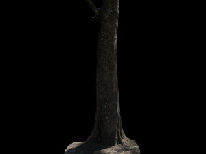 tree Modelo 3D