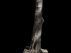 tree Modelo 3D