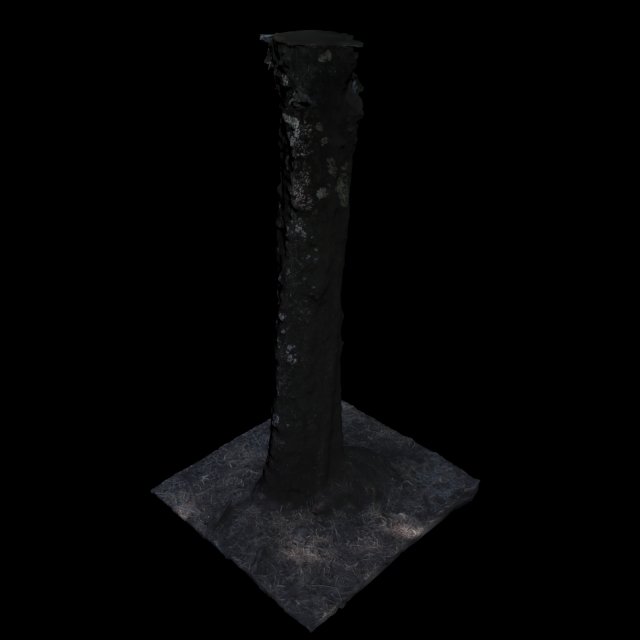 tree Modèle 3D .c4d .max .obj .3ds .fbx .stl .blend 