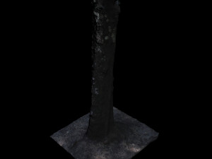 tree Modelo 3D