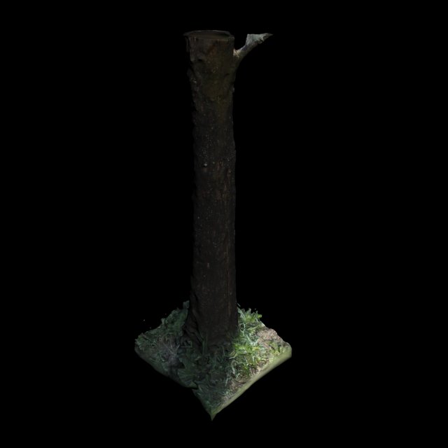 tree Model 3D .c4d .max .obj .3ds .fbx .stl .blend 