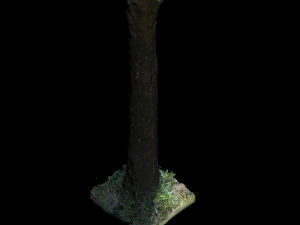 tree 3D Model