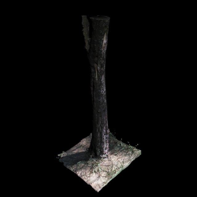tree 3D Модель .c4d .max .obj .3ds .fbx .stl .blend 
