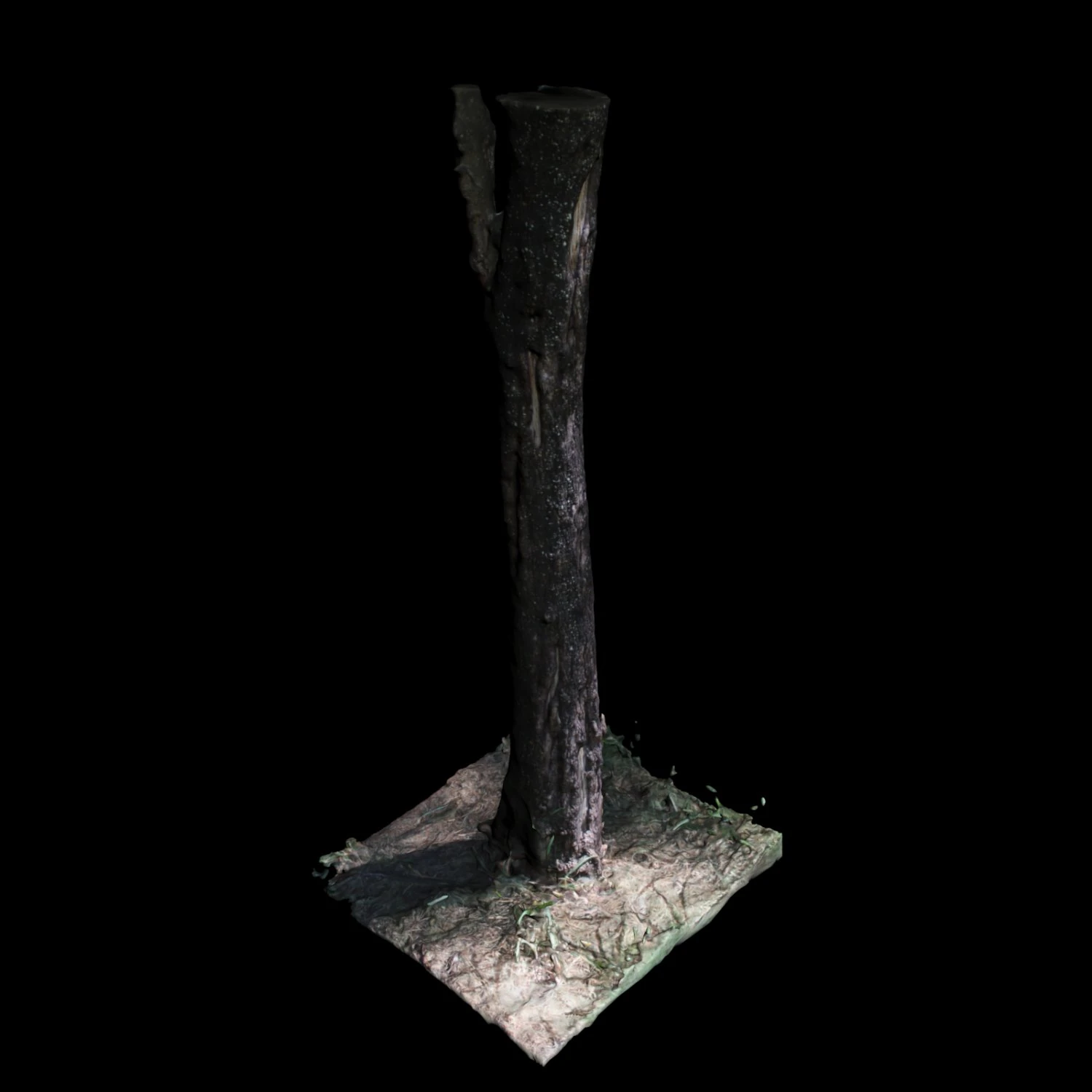 tree 3D Model .c4d .max .obj .3ds .fbx .stl .blend 