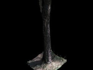 tree Modelo 3D