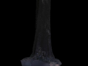 tree 3D Model