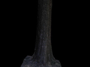 tree 3D 모델