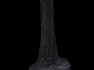 tree 3D 모델