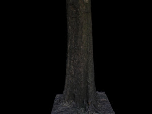 tree 3D 모델