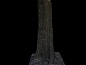 tree 3D Model