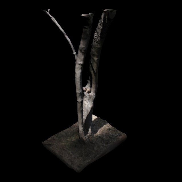 tree 3D Модель .c4d .max .obj .3ds .fbx .stl .blend 