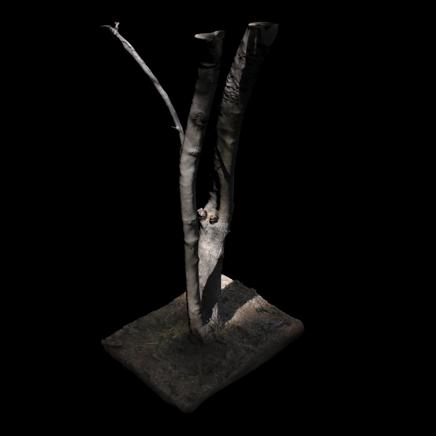 tree 3D Model .c4d .max .obj .3ds .fbx .stl .blend 