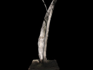 tree 3D Модель